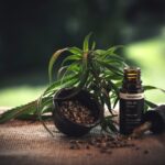 Comment choisir le bon produit à base de CBD